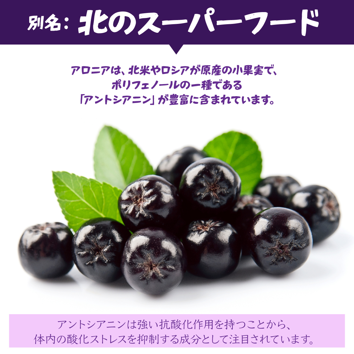 北海道 伊達 大滝産 アロニア ジュース 500ml 2本 果汁 果実飲料 飲料 飲み物 フルーツ スーパーフード ポリフェノール_イメージ3