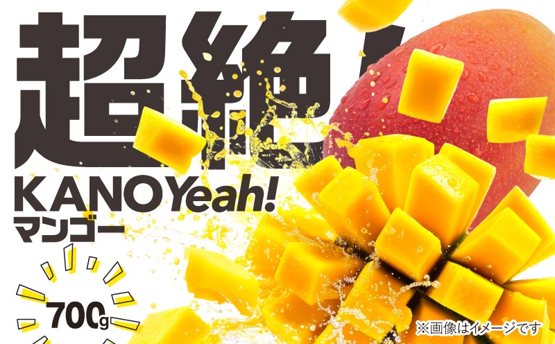 
                  超絶！KANOYeah！マンゴー 700g（2玉）　KN112-001-01
                