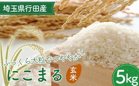 埼玉県行田産にこまる（玄米）5kg×1 ／ にこまる 玄米 5kg 特別栽培米 大粒 米 甘み 粘り 冷めても美味しい お弁当 おにぎり 毎日食べる米 健康志向 食感 粒立ち 埼玉県 No.518