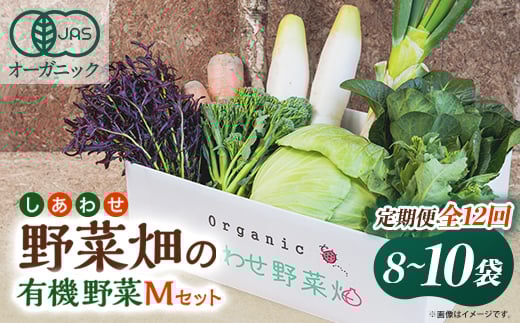 
                  ＜毎月定期便＞しあわせ野菜畑の有機野菜　Mセット　(安心の有機JAS認証　オーガニック野菜)全12回【4066006】
                