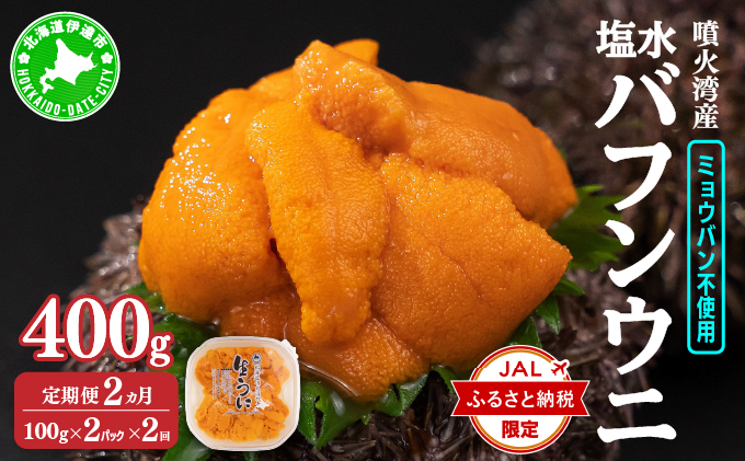 【JALふるさと納税限定】【定期便2カ月】北海道 噴火湾産 塩水 バフンウニ 100g 2パック うに ウニ 雲丹 海鮮 海の幸 魚介類 ウニ丼 お寿司 濃厚 無添加 産地直送 産直 お取り寄せ 山村水産 送料無料