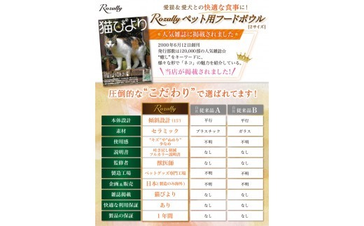 【獣医師が監修】 猫 犬 食器 フードボウル 吐き戻し防止 フードボウル小 ブラック 【フードボウル 猫 犬 吐き戻し防止 傾斜 食器 ペット セラミック Rozally 健康】