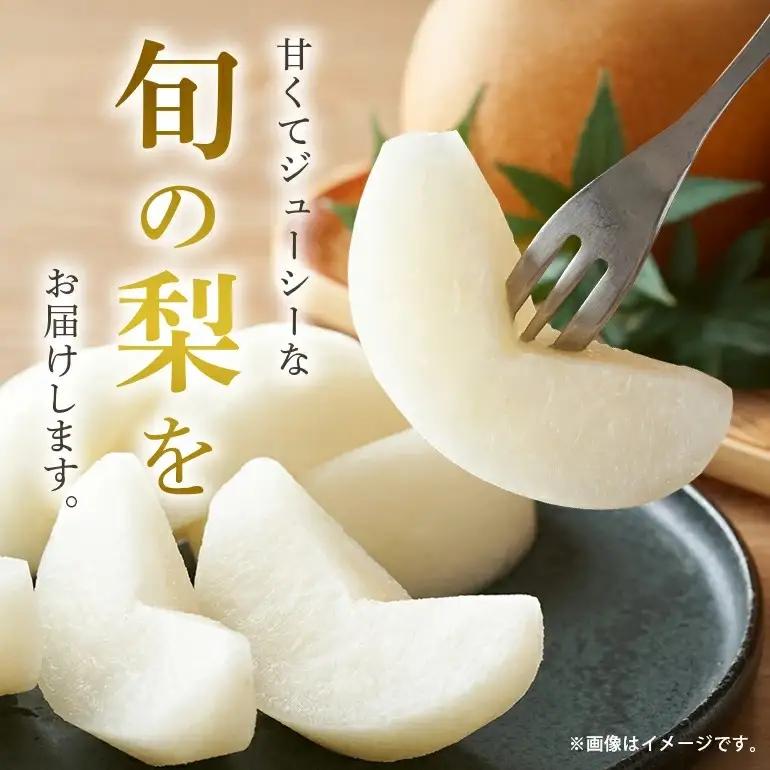 幸水梨 箱込約 5kg（JA新ひたち野）梨 約 12玉 ～ 16玉 (B01-009)