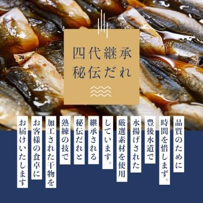 ふるさと納税 佐伯市 四代続く秘伝のたれ みりん干しセット (合計5種・48枚以上) |  | 02