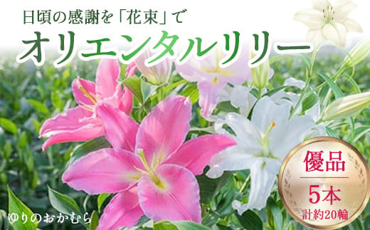 日頃の感謝を「花束」で、オリエンタルリリー【優品5本】Osy-14 誕生日 植物 フラワー プレゼント 花束 ゆり リリー お花