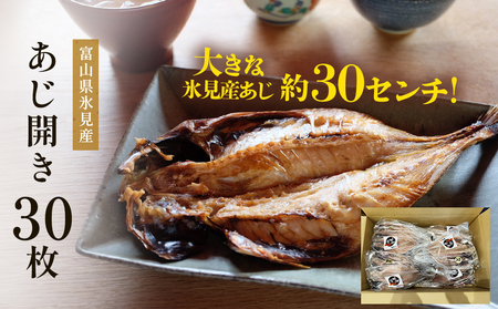 氷見産あじ開き 30枚 約30センチ！富山湾海の幸 〈冷凍〉