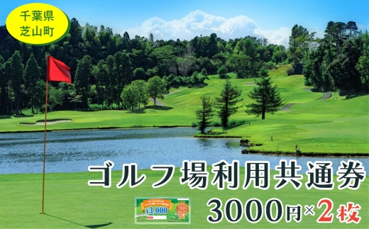 芝山町ゴルフ場利用券　2枚 ／ golf 芝山ゴルフ倶楽部 京カントリークラブ イーグルレイクゴルフクラブ 共通チケット アウトドア 施設利用券 千葉県 No.002