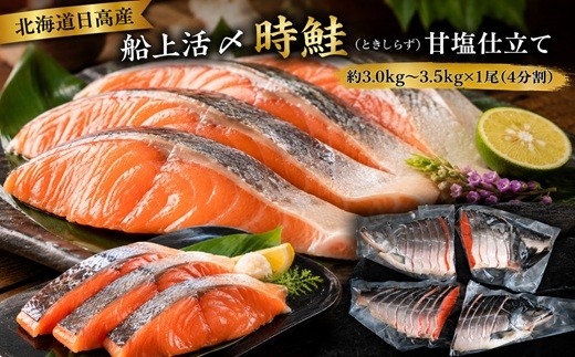 
                  北海道日高産 船上活〆時鮭(ときしらず)甘塩仕立て 約3.0kg～3.5kg(4分割) [01-1632]
                