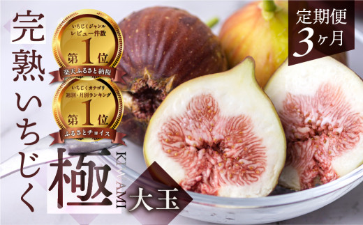 先行予約2027年発送分 完熟 いちじく 9-12玉 ［極］大玉 定期便 3カ月 2027年発送 フルーツ いちじく好きのための定期便  田原市 いちぢく
