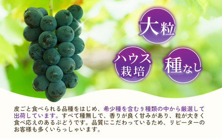 先行予約【2026年8月下旬から2026年9月上旬頃発送】 ブドウ 3種類セット 約2kg 