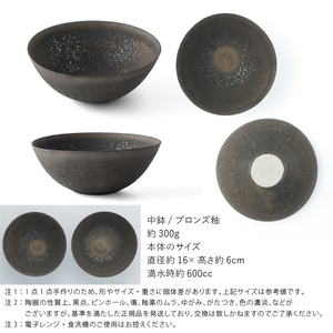 【美濃焼】 五十嵐務 中鉢 ブロンズ釉 瑞浪市 / JS企画 陶芸作品 鉢 取鉢 インテリア 食器 ボウル [AZAZ217]