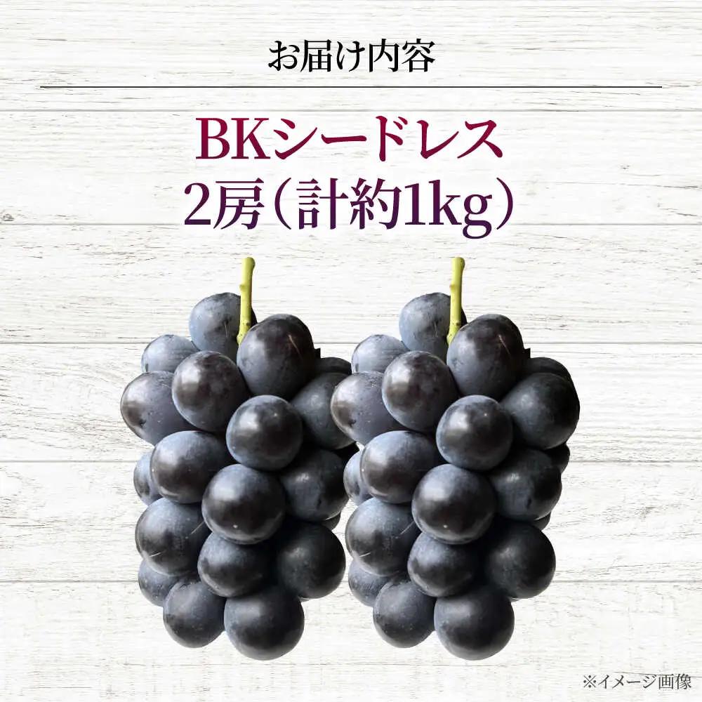 ぶどう BKシードレス 2房 三次市 [APAB008] ブドウ