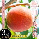 【ふるさと納税】2025年出荷分 先行予約福島県産 【新鮮もも直送】川中島白桃 3kg 2025年8月中旬〜2025年8月下旬発送 先行予約 予約 白桃 大玉 伊達の桃 桃 もも モモ 果物 くだもの フルーツ 国産 食品 固め F20C-606