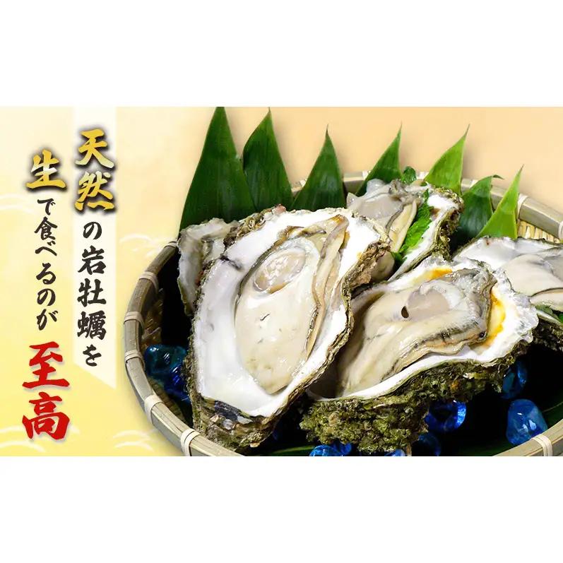 【先行予約 7月上旬～下旬発送予定】象潟産　天然岩牡蠣 8～10個 ナイフ付【牡蠣 夏牡蠣 かき 象潟 生食可 魚介類 海鮮　海産物 海の幸】　