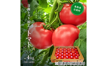 【先行予約】星降る里日南町　樹熟れトマト4kg【配送不可：北海道・沖縄】