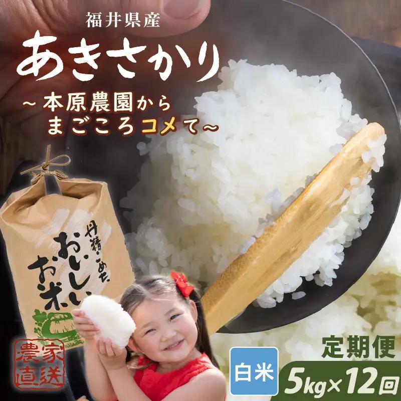 先行予約 令和8年産 新米 (白米) 定期便 12ヶ月連続お届け あきさかり 5kg × 12回 計60kg ブランド米 米 2026年10月上旬以降順次発送 [K-8911_01]