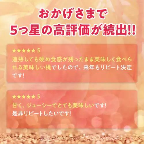 透過式光センサーまどか桃 特秀3kg相当 9玉～11玉＜ ふくしま未来農業協同組合 ＞ | ふくしま 桃 福島 もも 国見 モモ ※2026年8月上旬～8月中旬頃に順次発送予定 ※沖縄・離島への配送不