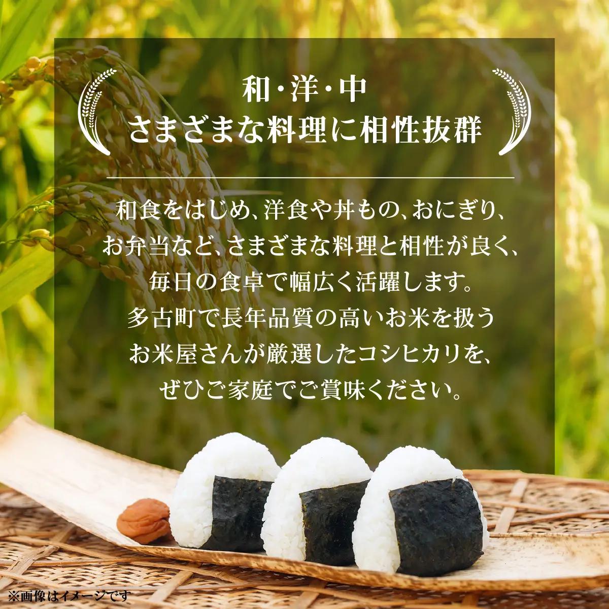 【先行予約・9月より順次配送】令和8年産 千葉県産 コシヒカリ 精米10kg mt207671_011001