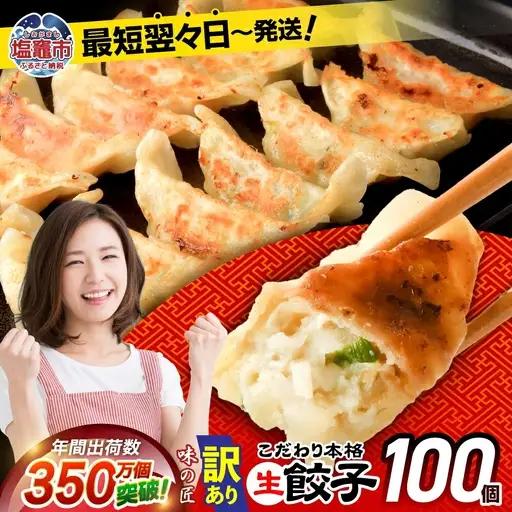 【増量】こだわり本格生餃子　20個×5パック　