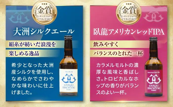 クラフトビール【全6回定期便】飲み比べ6種セット 計6本　愛媛県大洲市/株式会社　アライ[AGAY067]