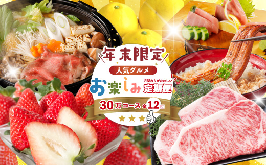 【年末限定】 12回 定期便 四万十 人気 グルメ お楽しみ定期便 しまんと ふるさと 30万円 今だけ 年末 限定 肉 いちご 文旦 うなぎ 牛肉 パン まぐろ マグロ かつお フルーツ 人気グルメ ごちそう 贅沢 豪華 高知 四万十市