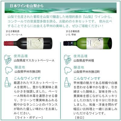 ふるさと納税 山梨県 これぞ山梨 「GI山梨」認証ワイン 6本セット |  | 02