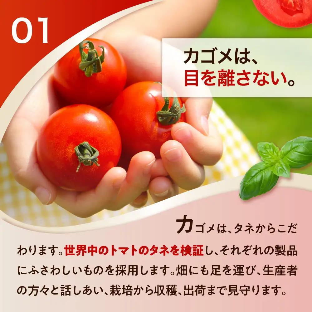 【定期便12ヵ月】カゴメトマトジュース 食塩無添加 720ml 15本 ns111-019