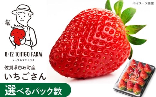 【R8年2月以降発送】いちごさん 1440g（6パック）【8/12ICHIGOFARM】イチゴ 苺 産地直送 果物 くだもの フルーツ 佐賀県産 白石町  デザート スイーツ 国産  白石 [IBR007]
