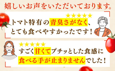 【先行予約】ミニトマト アイコ＆小鈴キング 総計4.5kg【C&amp;T farm】[QBG004]