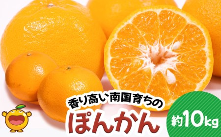 ぽんかん 10kg ミカン ポンカン オレンジ 蜜柑 果実 フルーツ 大分県産 九州産 津久見市 国産【tsu000603】