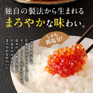 【佐藤水産】手まり筋子 480g (120g×4)  ｜すじこ 海鮮 北海道石狩市