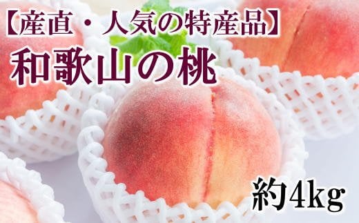 【産直・人気の特産品】和歌山の桃　約4kg・秀品　※2025年6月下旬～8月上旬頃順次発送【tec911B】
