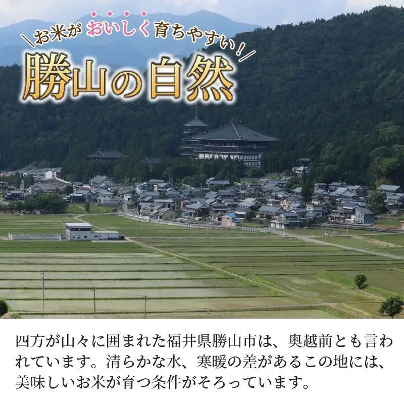 米 コシヒカリ 勝山産 ちゃまごん米 10kg×3回  定期便 [I-010022]