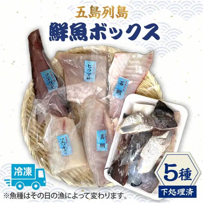 五島列島鮮魚ボックス5種[RBR002] 鮮魚 鮮魚セット 魚 鮮魚 鮮魚セット 魚 鮮魚 鮮魚セット 魚 鮮魚 鮮魚セット 魚 鮮魚 鮮魚セット 魚九州 長崎