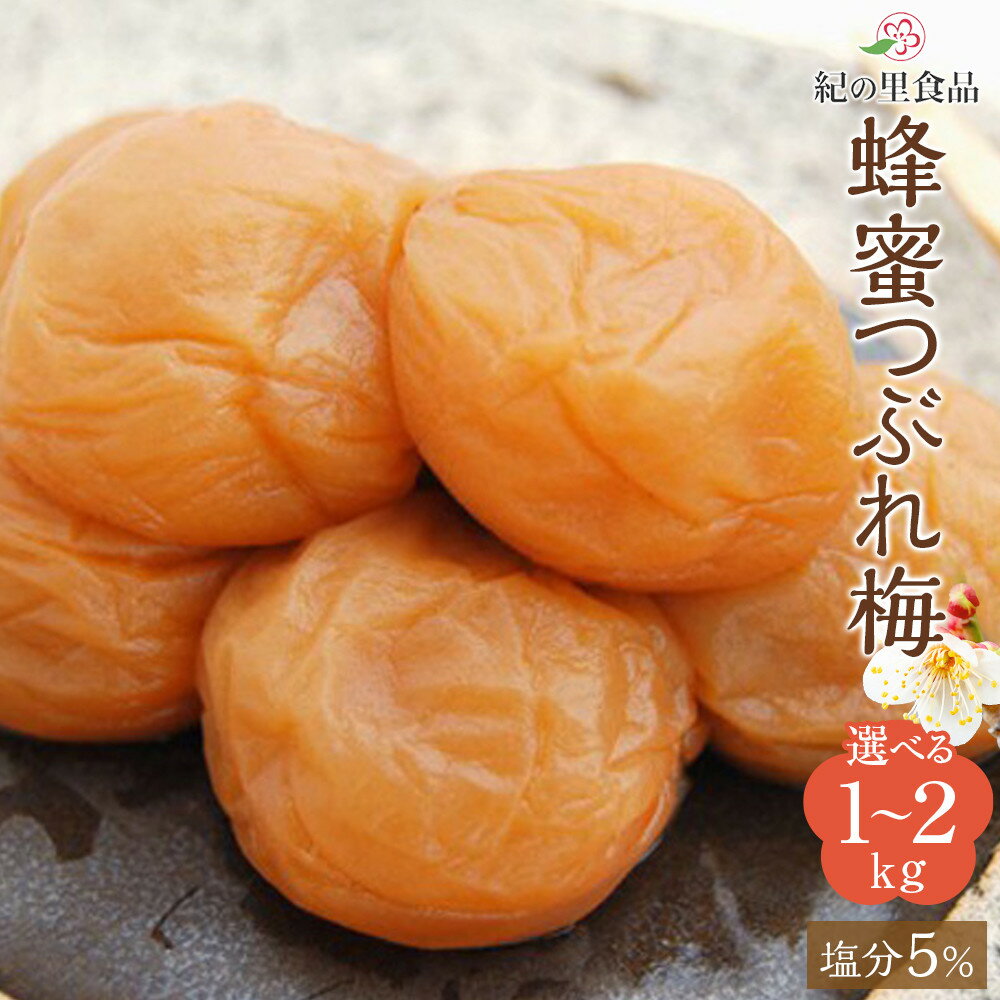【ふるさと納税】【選べる容量】紀州南高梅 蜂蜜つぶれ梅 塩分5％ 1～2kg (500g×2～4) ［Kn22］ | 梅干 食品 加工食品 人気 おすすめ 送料無料