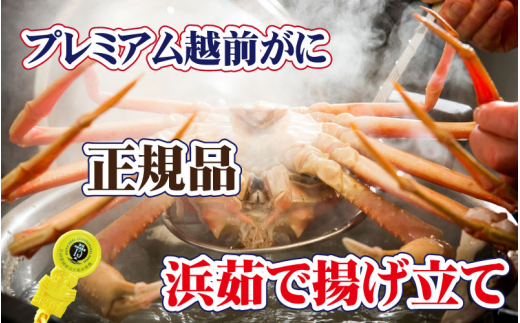 誉れ高き越前がに「皇室献上級」 × 1杯 桐箱入り！【雄 ズワイガニ ずわいがに 姿 生 ボイル 冷蔵 福井県】【3月発送分】【生でお届け】希望日指定可 備考欄に希望日をご記入ください [e37-x0