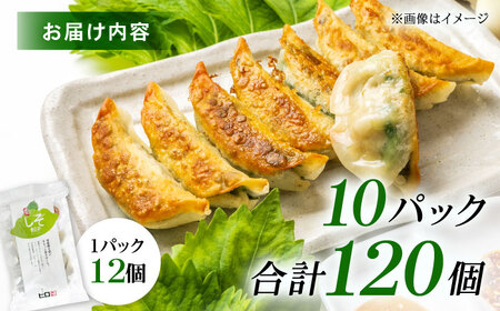 【10パック】餃子屋ヒロの 人気のしそ餃子【餃子屋ヒロ】開成町 餃子 点心 惣菜 冷凍[BDAS003-4]
