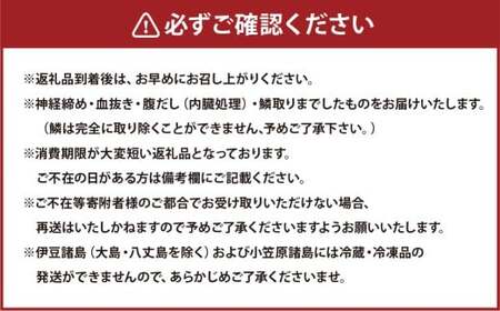 【14営業日以内発送】【premiumfishbrand】 ゆうこう真鯛 （活〆） ×1尾 （約1.5kg） 真鯛 真鯛 マダイ まだい 鯛 タイ たい ゆうこう ブランド魚 魚 海鮮 九州 長崎県 