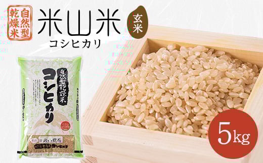 
            自然型乾燥特栽米コシヒカリ(米山米)玄米5kg×1袋【1364713】
          