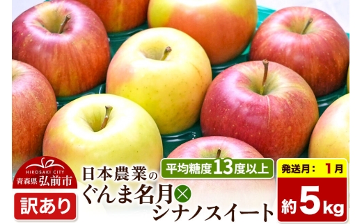 【27年1月発送】りんご ぐんま名月×シナノスイート【訳あり】約5kg 平均糖度13度以上 青森県 弘前市 果物 フルーツ 林檎 リンゴ くだもの 不揃い 規格外 [先行予約 家庭用 産地直送 アップル 青森県 弘前市]