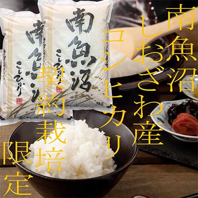 ふるさと納税 南魚沼市 【毎月定期便】契約栽培限定 南魚沼しおざわ産コシヒカリ 精米10Kg 全6回