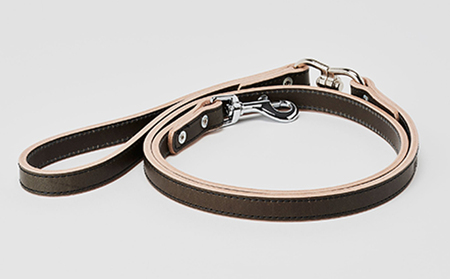 good lead 中型犬用15mm幅［犬 猫 リード］ 雑貨 日用品 ファッション ペット用品  アカネ