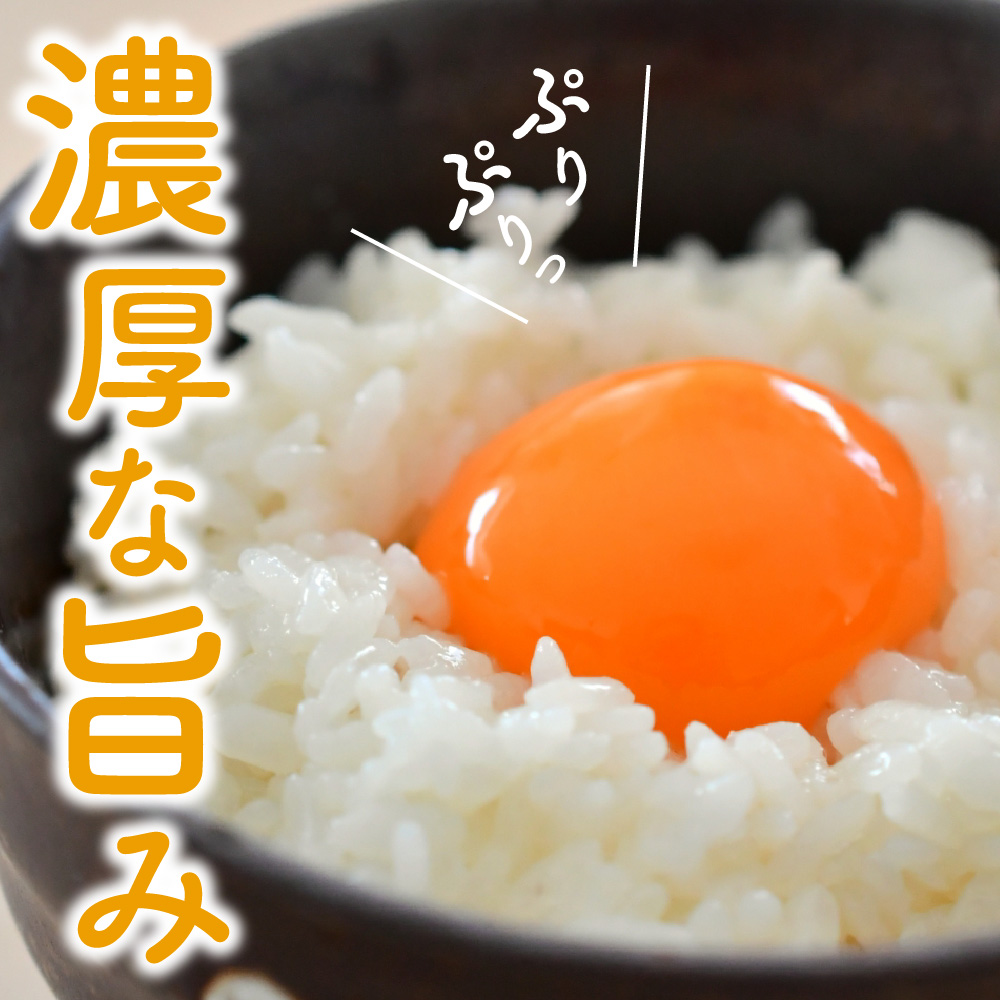 【定期便】 紅花たまご 60個 × 3ヶ月 計180個 ( 10個 × 6パック × 3回 ) 卵 赤玉 たまご 鶏卵 生卵 玉子 濃厚 極上 産地直送 新鮮 産みたて 山形県 米沢市
