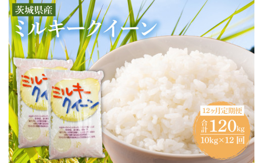 お米 定期便 10kg×12回 ミルキークイーン 12ヶ月定期便 数量限定 ブランド米 お米 美味しい 鹿嶋市産 ※ 米の定期便 1年定期便 12か月定期便 12回発送 コメ ごはん ライス お弁当 kome okome teikibin おいしい おむすび おにぎり グルメ 朝食 備蓄 ミルキークイーン 12回発送 田口商事 茨城県 鹿嶋市