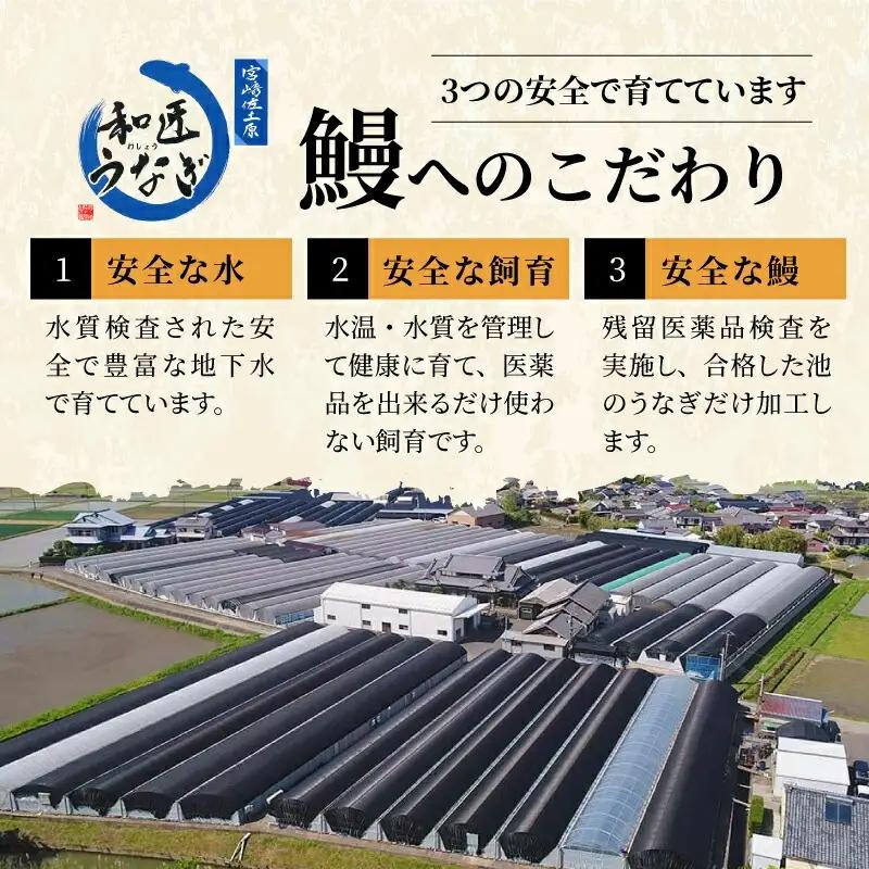 うなぎ 蒲焼 うなぎ[国産 きざみ 4パック 和匠 備長炭手焼き 400g]