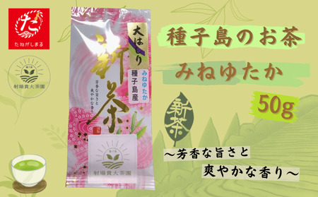 ＼ R8年産 ／【たねがしまる4000】希少品種「みねゆたか」　新茶 緑茶　NFN943【100pt】 // 日本茶 緑茶 希少品種 お茶 新茶 一番茶 煎茶
