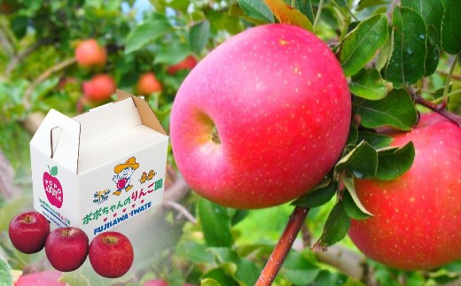 
                  【限定9月～12月発送】いちのせきの「旬りんご」約3kg リンゴ 特選 季節限定 フルーツ 果物 一関市 岩手県
                