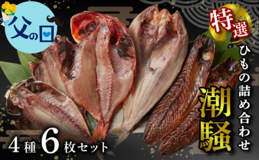 【父の日配送・日時指定可】【ラッピング対応】 干物 特選セット 4種 6枚 潮騒 金目鯛 キンメ あじ 真ほっけ さば 醤油 醤油干し 鰯 鯖 サバ アジ ホッケ 干物セット 父の日 沼津 静岡 静岡県