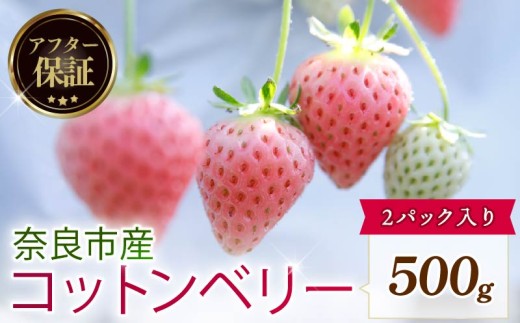 【数量限定】 2027年 1~2月発送 苺 いちご コットンベリー 2パック 約500g (約250g×2P) ゆりかーご 冷蔵 小分け 果物 スイーツ デザート くだもの フルーツ ベリー ふるさと納税 いちご 大粒 採れたて 完熟 おやつ 産地直送 先行予約 数量限定 季節限定 ブランド イチゴ 中村農園 奈良県 奈良市