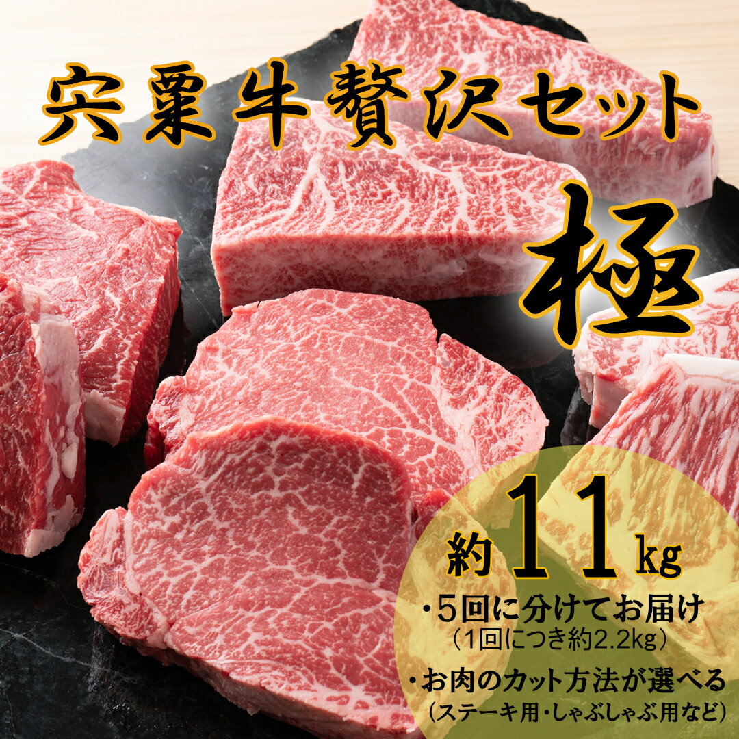 【ふるさと納税】F13　宍粟牛 贅沢セット　【極 11Kg】ステーキ しゃぶしゃぶ すき焼き ロース 定期発送 冷蔵発送 宍粟牛 国産和牛 黒毛和牛 国産 3年肥育 牛肉 御中元 贈り物 BBQ キャンプ ご褒美
